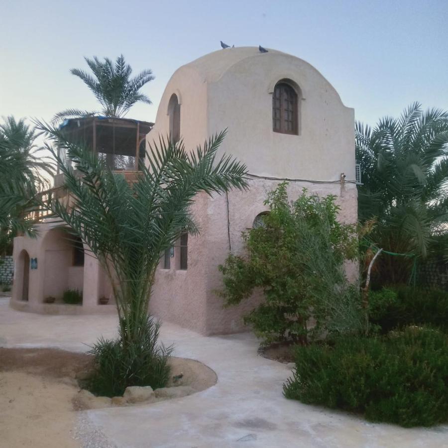 Siwa Spot Daire Siwa Oasis Dış mekan fotoğraf