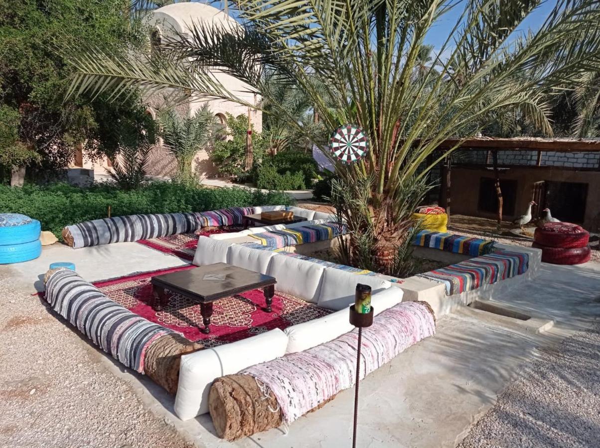 Siwa Spot Daire Siwa Oasis Dış mekan fotoğraf