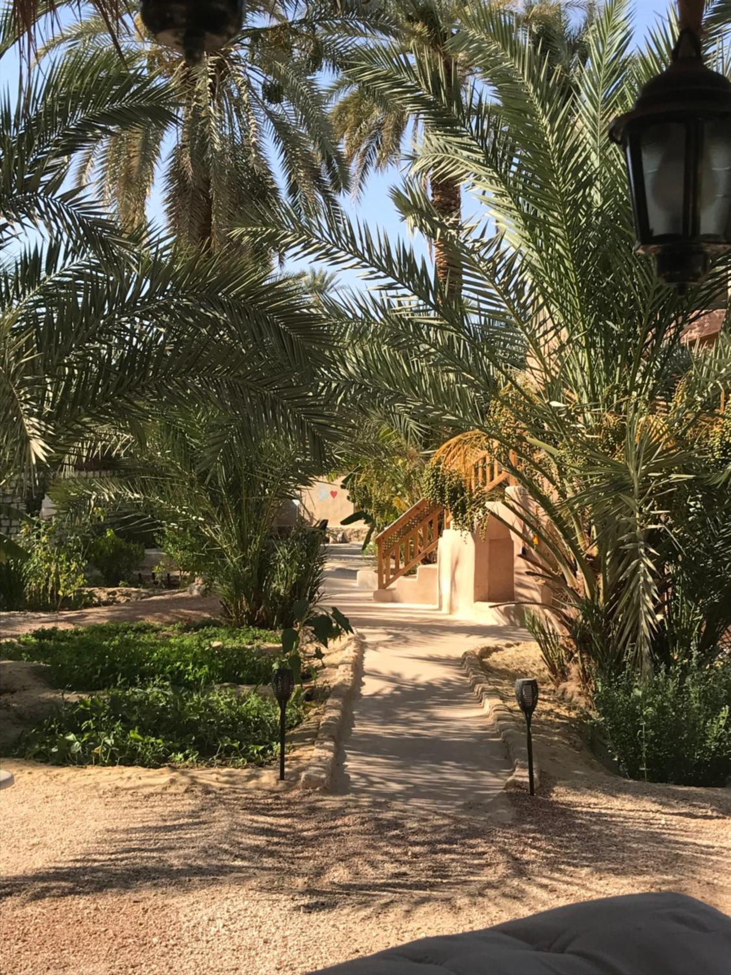 Siwa Spot Daire Siwa Oasis Dış mekan fotoğraf