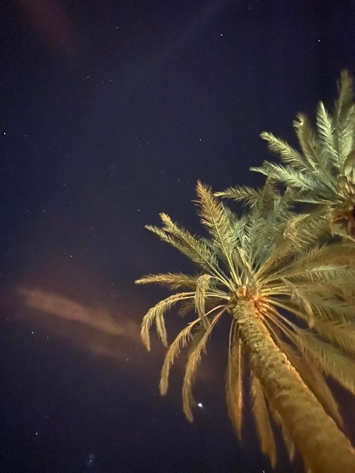 Siwa Spot Daire Siwa Oasis Dış mekan fotoğraf