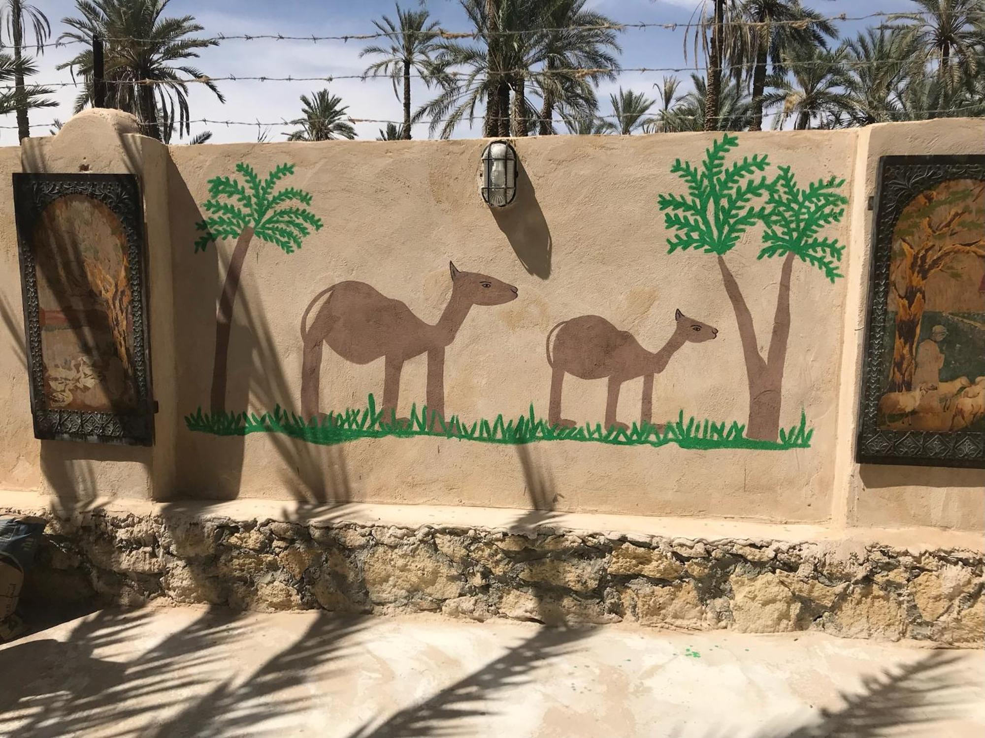 Siwa Spot Daire Siwa Oasis Dış mekan fotoğraf