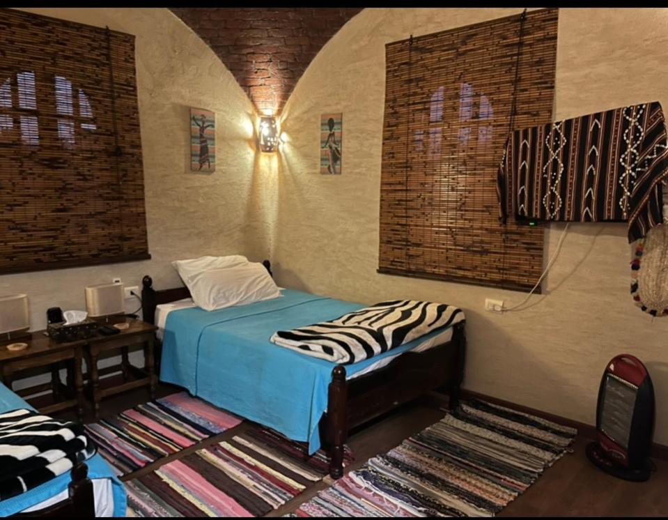 Siwa Spot Daire Siwa Oasis Dış mekan fotoğraf
